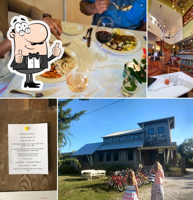 Flying Melon in Ocracoke Restaurant menu and reviews