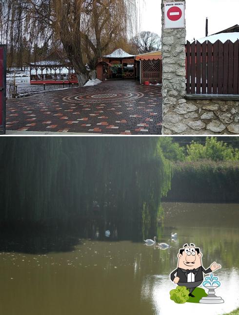 Бар Лебедь