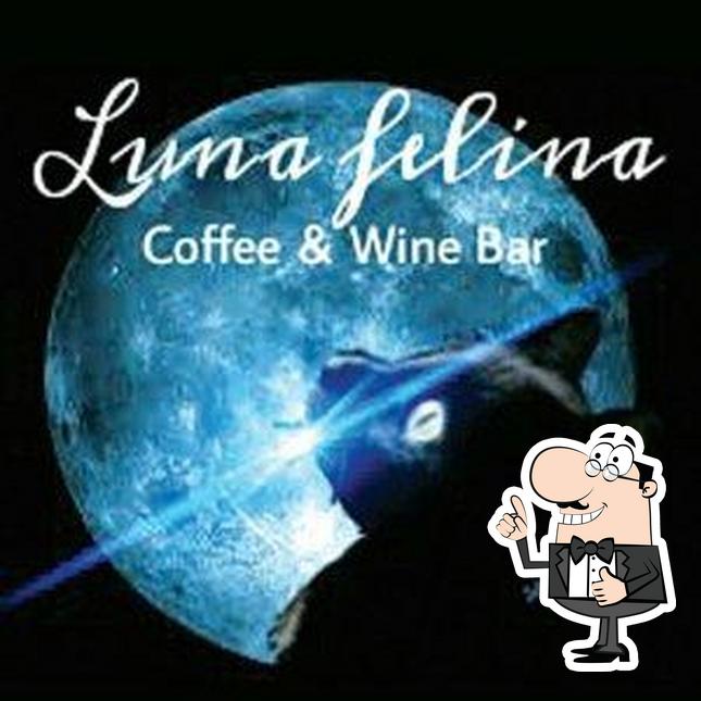 Ecco un'immagine di Bar Luna Felina