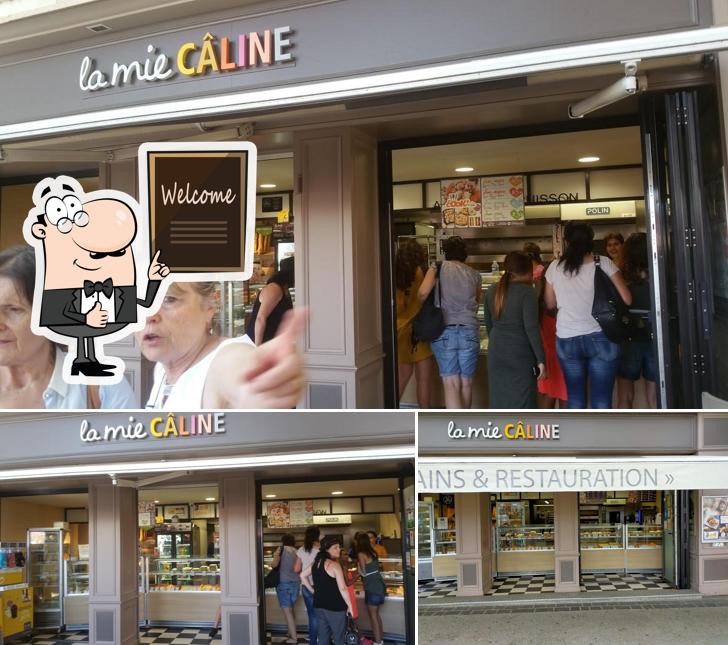 Voici une image de La Mie Câline