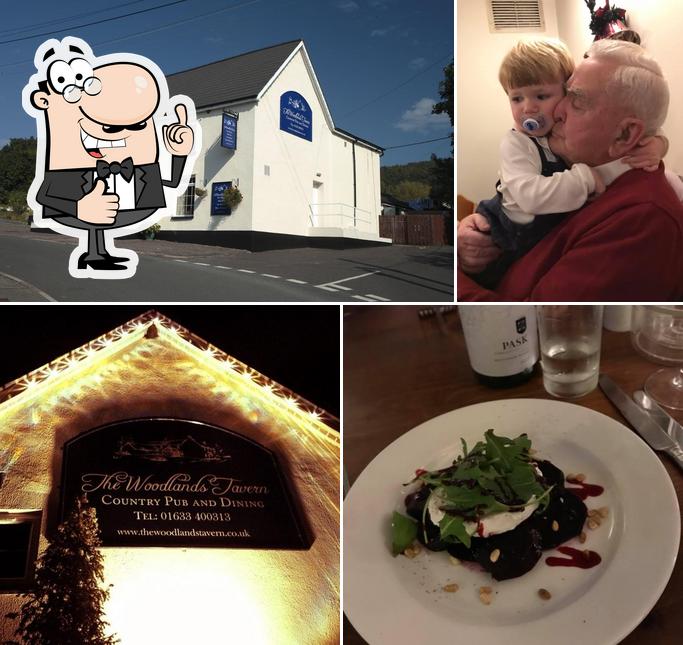 The Woodlands Tavern in Caerwent Restaurant menu and reviews