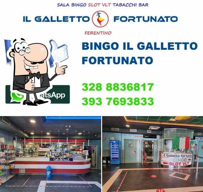 Vedi questa immagine di Il Galletto Fortunato Srl