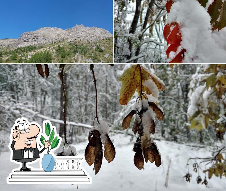 Guarda gli esterni di Ciarbonet Cafe