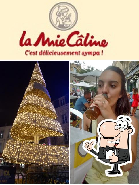 Regarder l'image de La Mie Câline