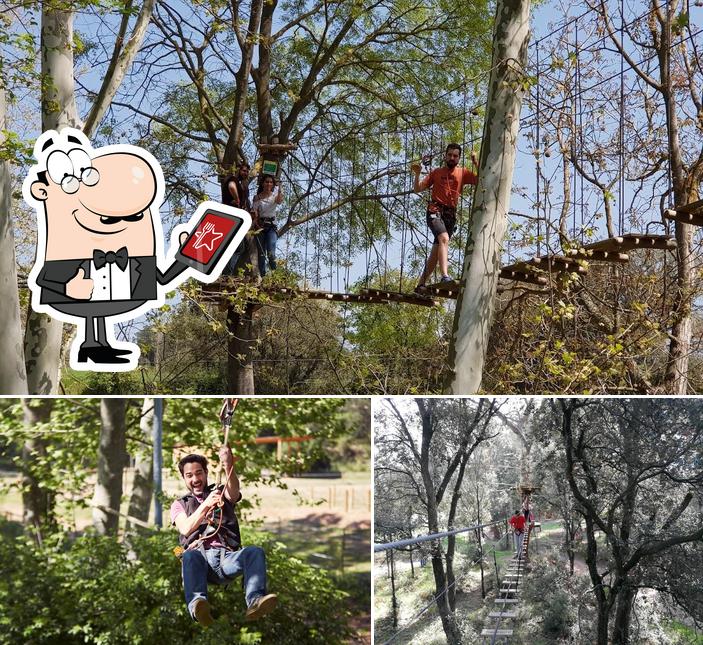 Aira Natura | Parc d'aventura in Sant Antoni de Vilamajor