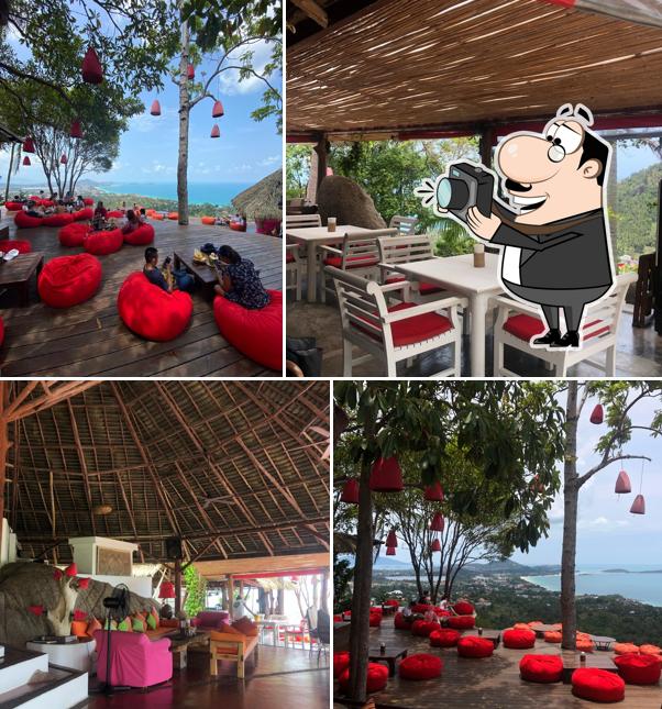 Jungle Club, Ko Samui Restaurant menu and reviews
