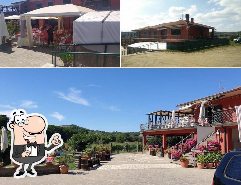 Curiosa tra gli esterni di Agriturismo Bisenzio - Braceria-Pizzeria-Camere