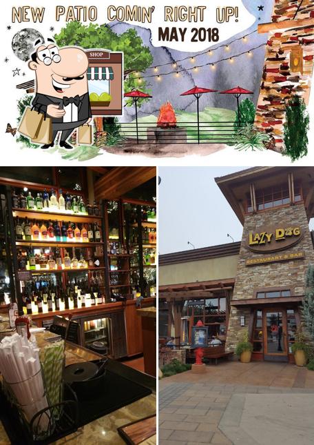 Lazy Dog Restaurant & Bar in Thousand Oaks Restaurant menu and reviews