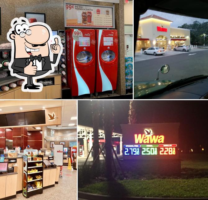 Wawa picture