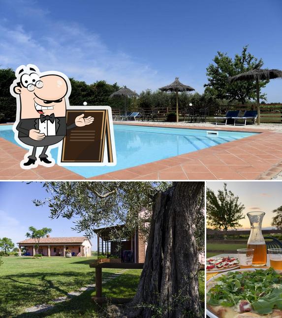 La foto della esterno e bevanda di Agriturismo Il Laghetto - Agriturismo Alberese con Piscina