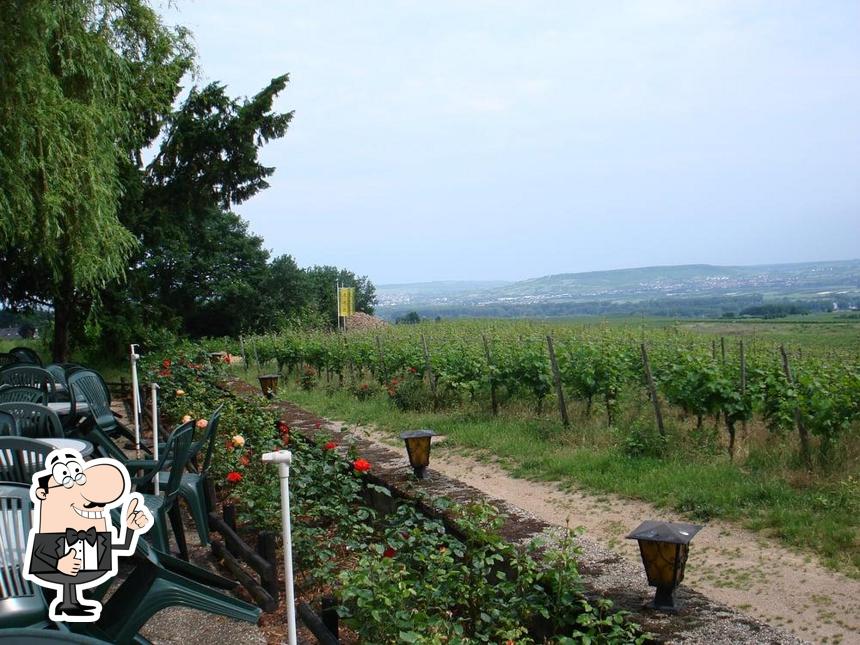 Voir l'image de Weingut Rosenhof