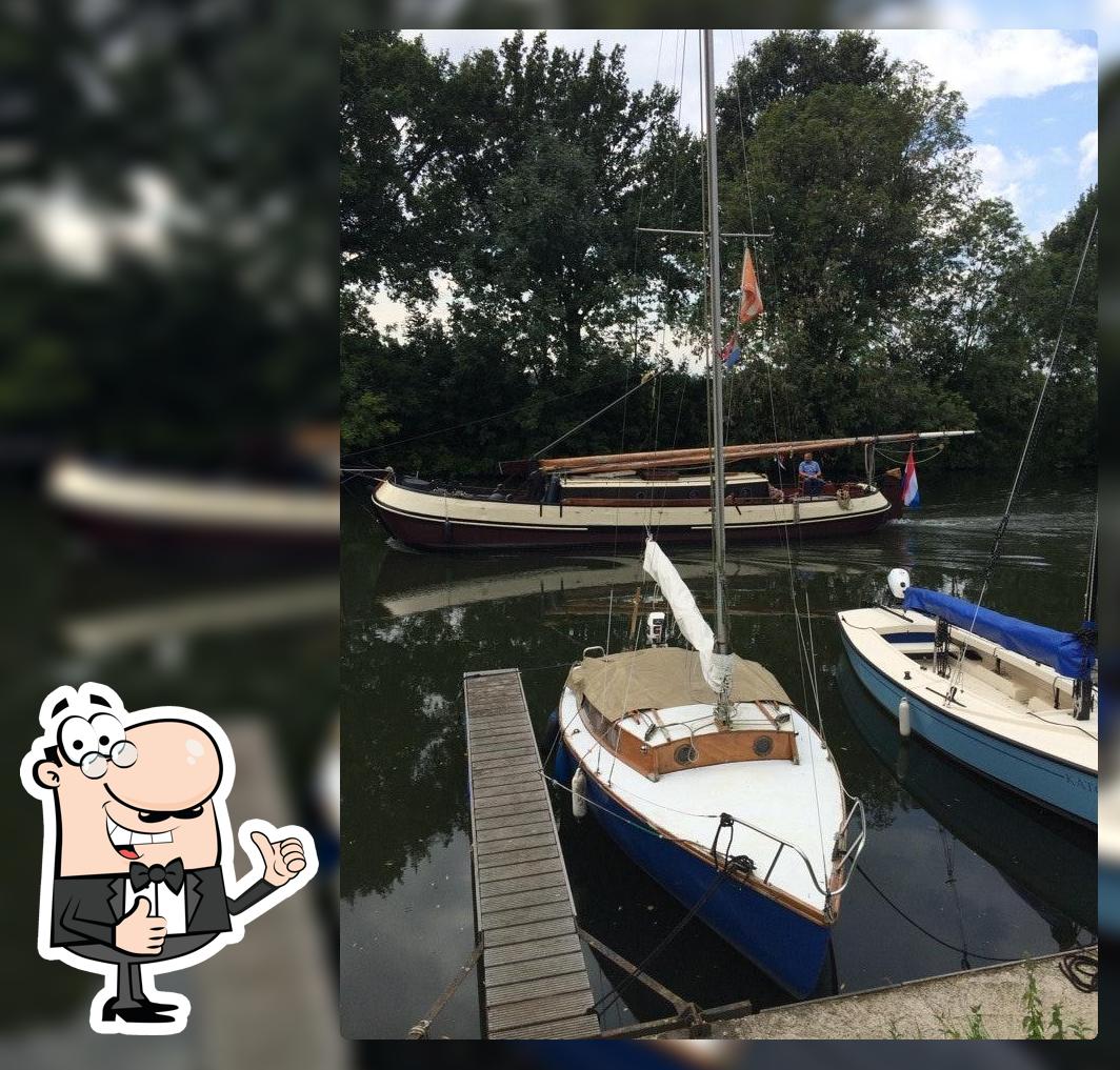 Dolfijn