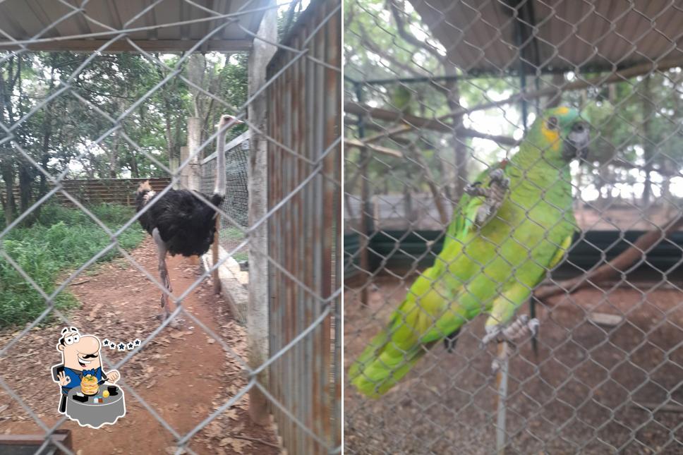 Comida em Fazendinha Mogi Restaurante e Lanchonete