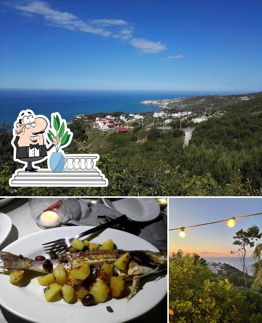 Questa è la foto che mostra la esterno e cibo di Ristorante Alba dei Pini Peschici