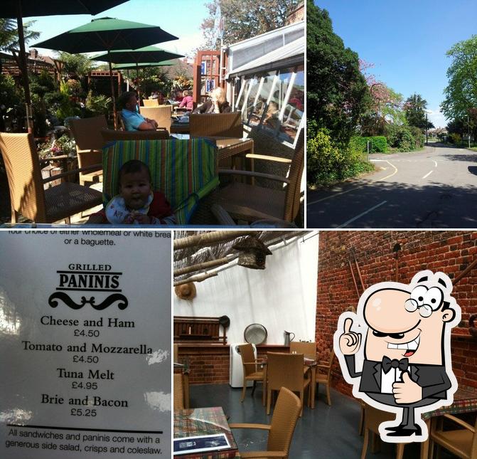 Ewell Court Tea Room in Epsom Restaurant reviews