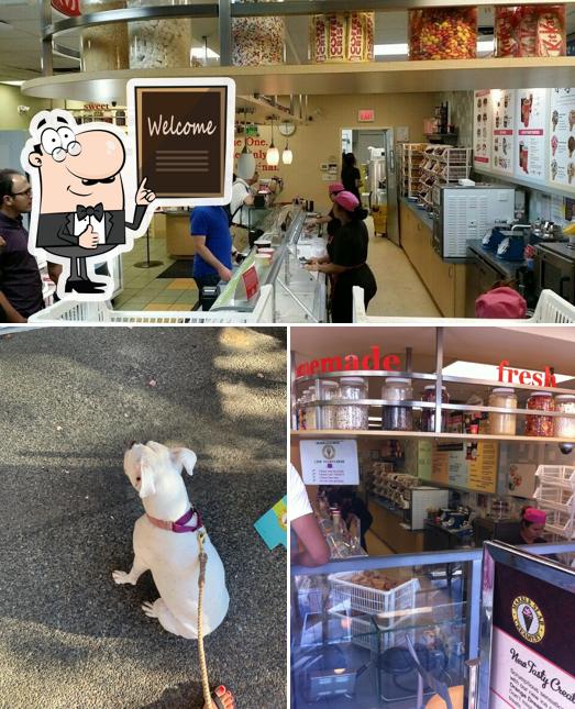 Marble Slab Creamery, 1184 Denman St 103 in Vancouver Restaurant menu and reviews