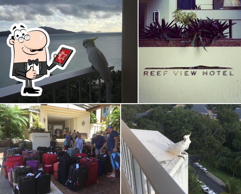 Look at the pic of Reef View Hotel