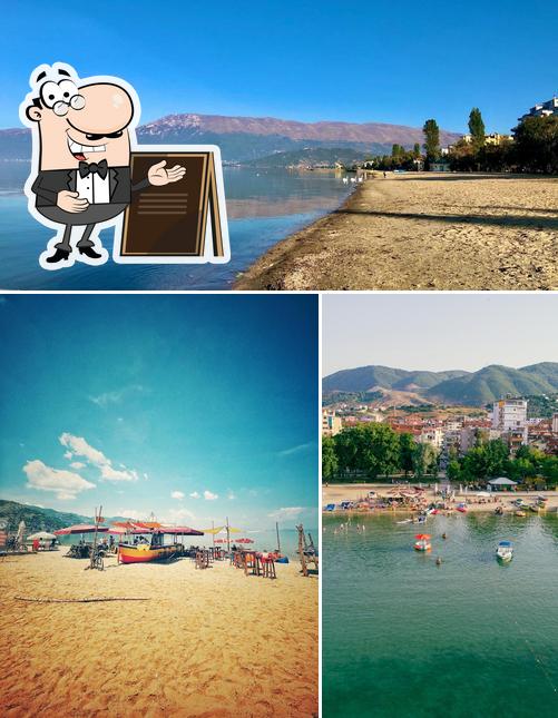 Внешнее оформление "Visit Pogradec"