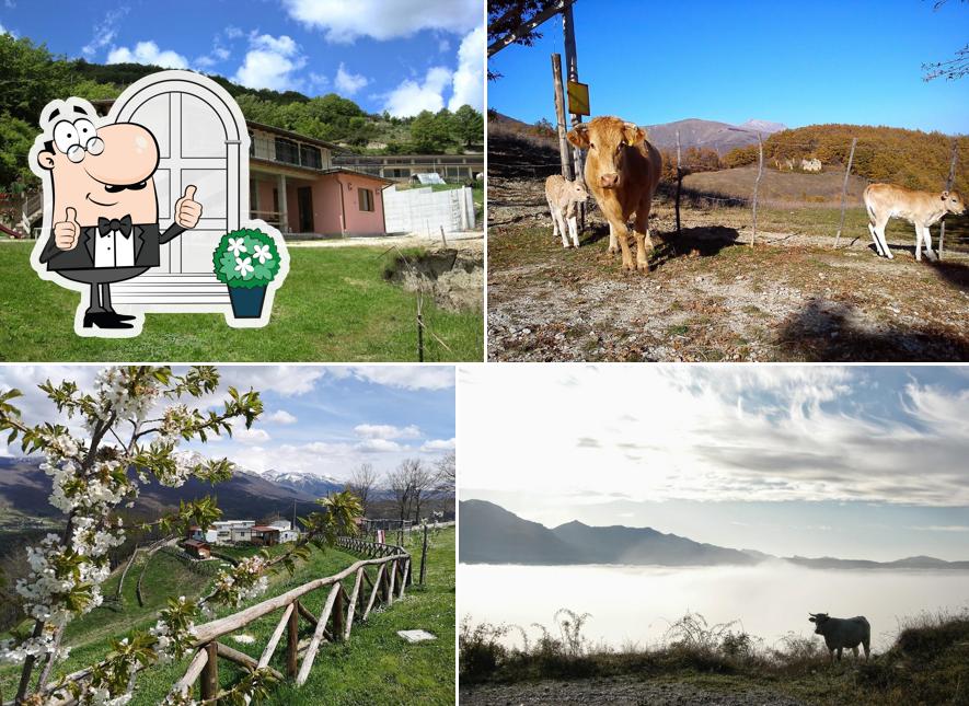 Goditi la vista dagli esterni di Fattoria Alta Montagna Bio