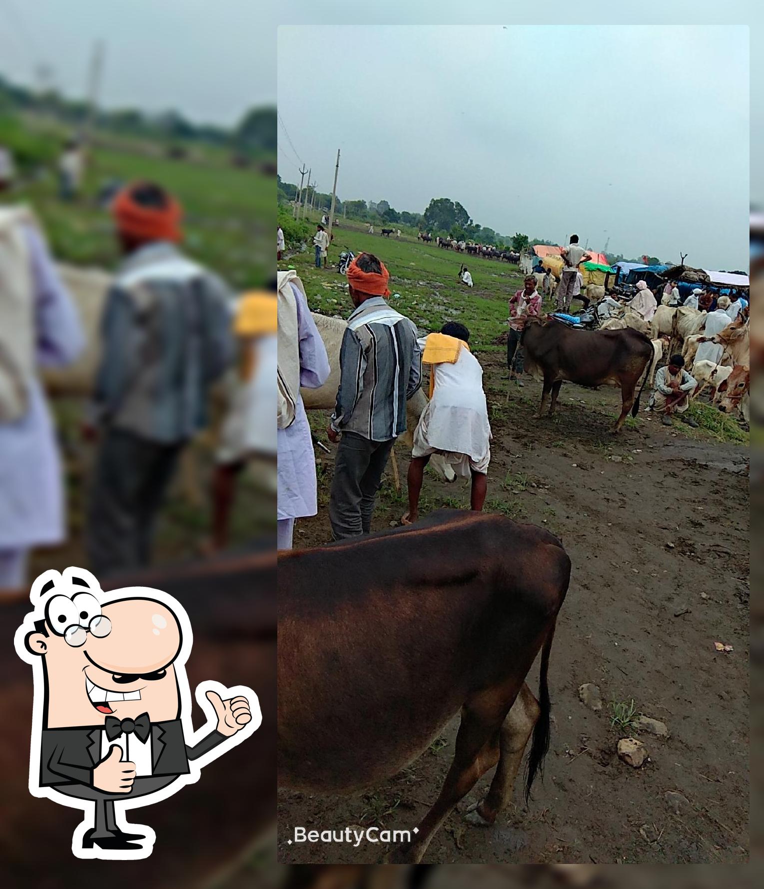 पशु मेला मेला ग्राउंड सुठालिया