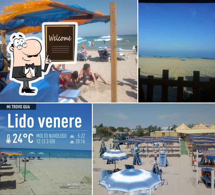 Guarda la immagine di Lido Venere