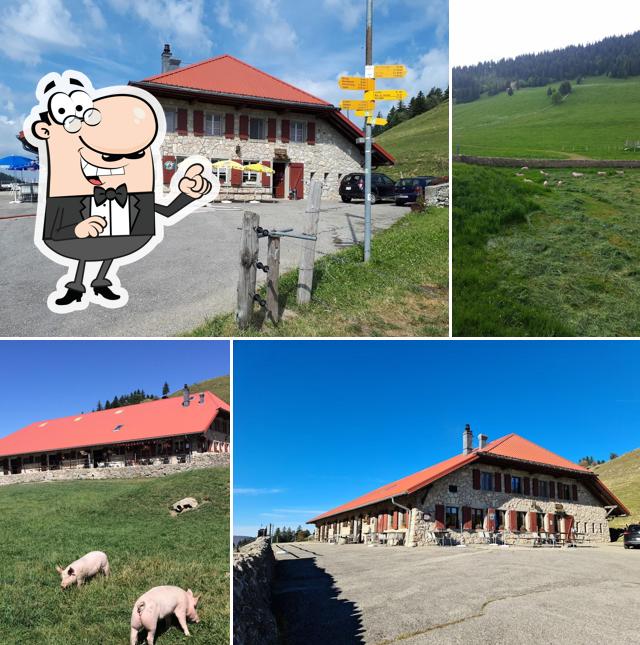 Chalet de Grangeneuve, Raymond et Michèle Perriard, Baulmes, Grange