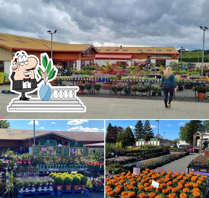 Williamson's My Florist Garden Centre & Coffee Shop. in Livingston
