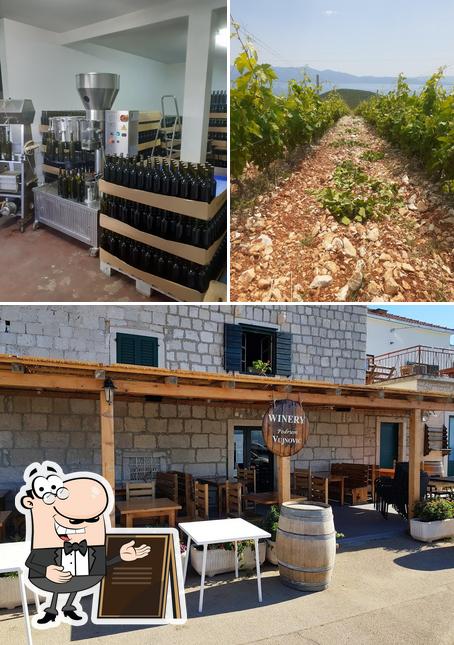 Winery Vujnović