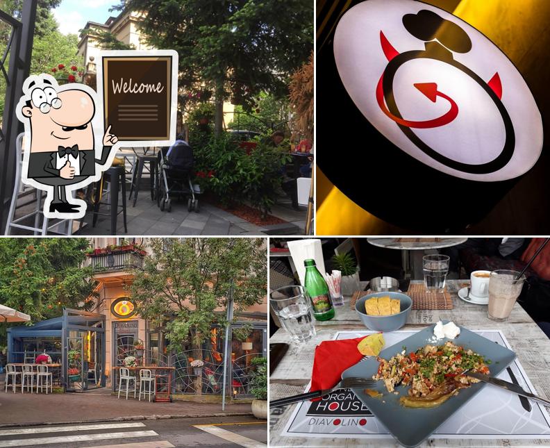 Angelino Belgrade Restaurant menu prices and reviews