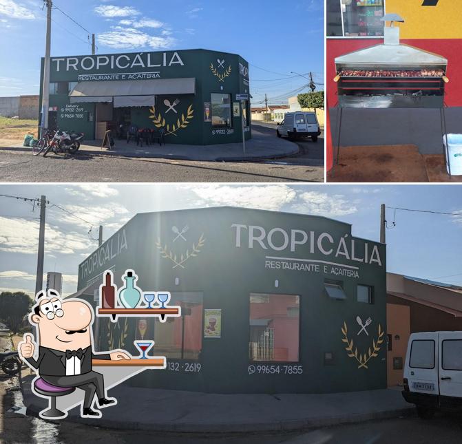 Tropicália