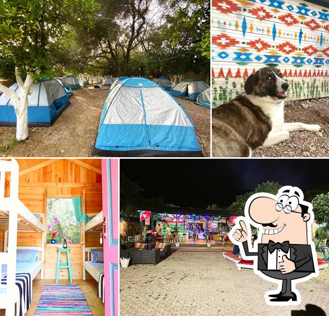 Kamping ne Jale - Social Camping Jale
