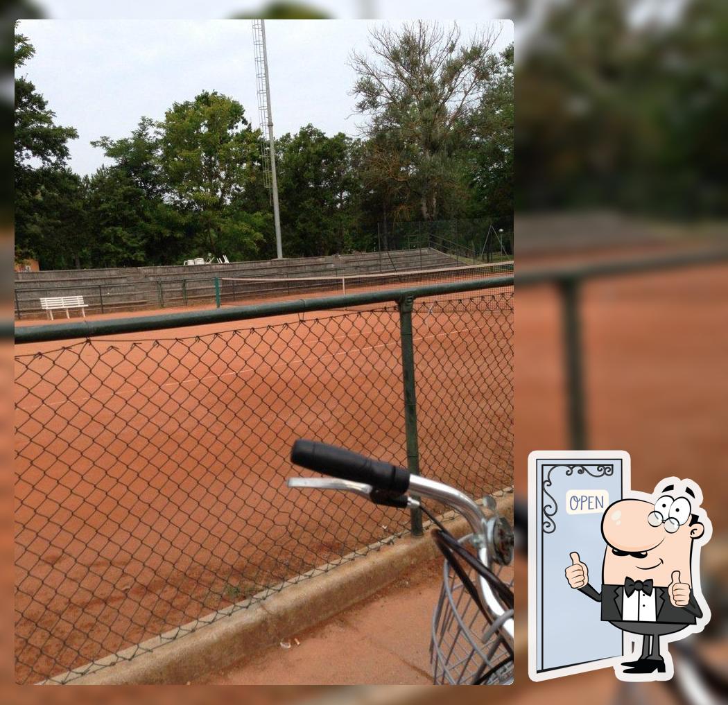 Tennis Farm