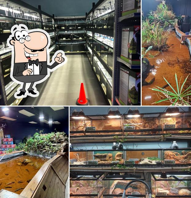 Floating Sea Aquatics in Jacksonville Restaurant reviews