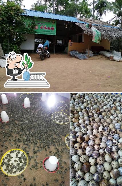 Annai Broilers