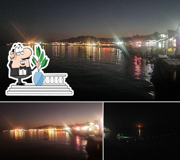 Fresh Fish restaurant, Dahab Restaurant reviews