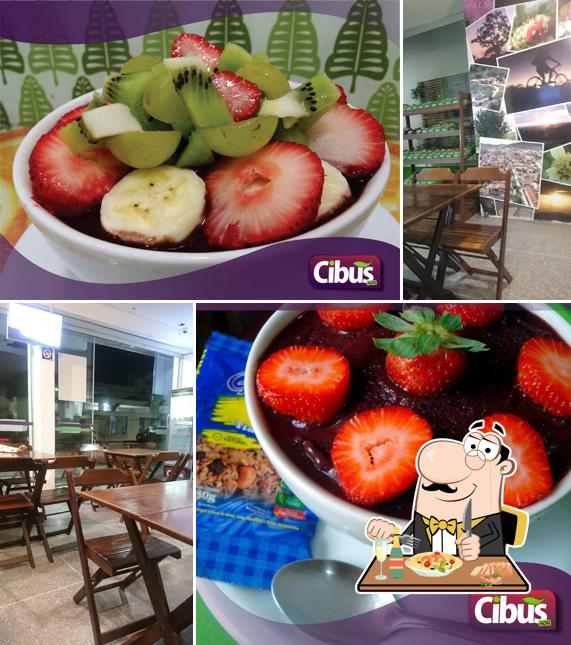 Platos en Cibus