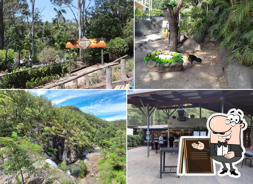 Top 7 restaurants in Tamborine Mountain, september 2024 Restaurant Guru