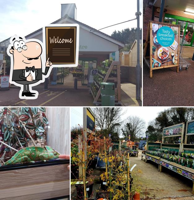 Findon Garden Centre, Roger's Ln in Worthing Restaurant reviews