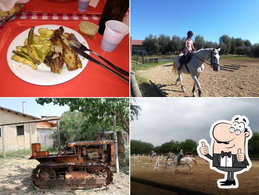 Agricoltura Nuova - Valle di Perna