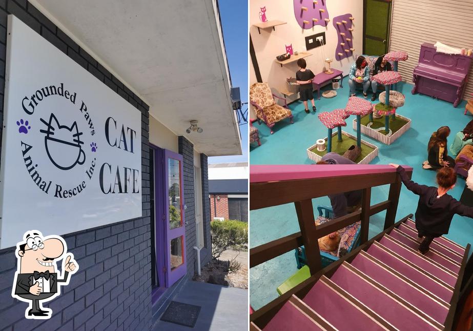 Grounded Paws Animal Rescue & Cat Cafe, Traralgon Carta del