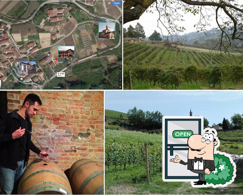 Poderi Moretti di Moretti Francesco - Azienda Agricola Vitivinicola