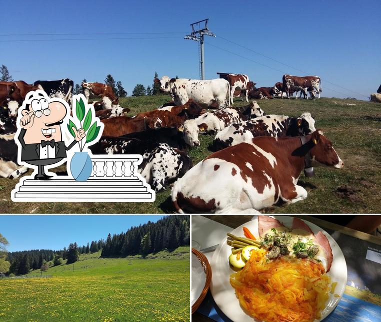 Voici la photo affichant la extérieur et viande sur Restaurant Chez Katon à la Robellaz