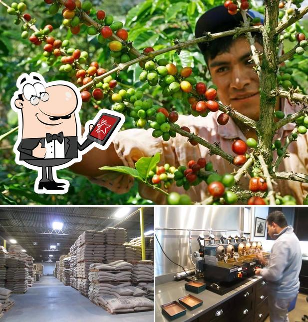 Full of Beans Coffee Company in Utica Restaurant menu and reviews