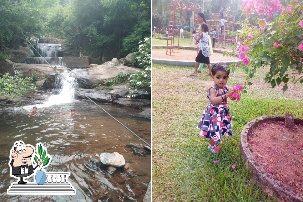 Toddy Bar Parathanam