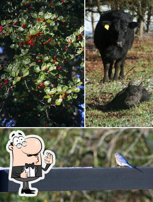 4K Farms/Tarheel Angus in Siler City - Restaurant reviews