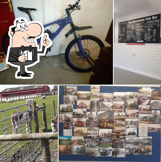 Horseshoe Fish Bar in Pontypool Restaurant reviews