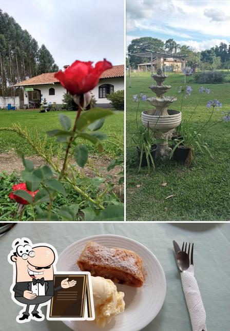 Araucária Jardim e Café