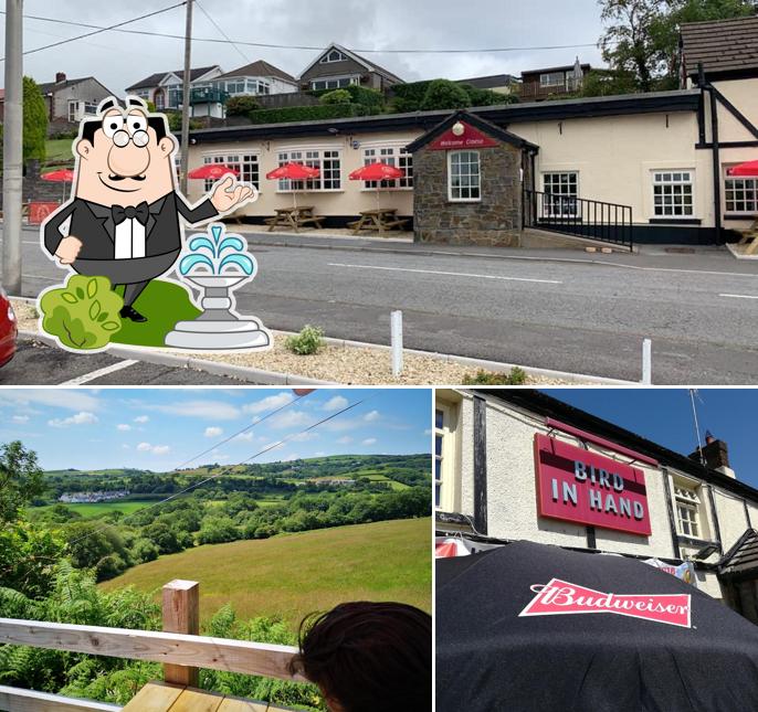 The Bird In Hand, 24 Carmarthen Rd in Fforest Restaurant reviews