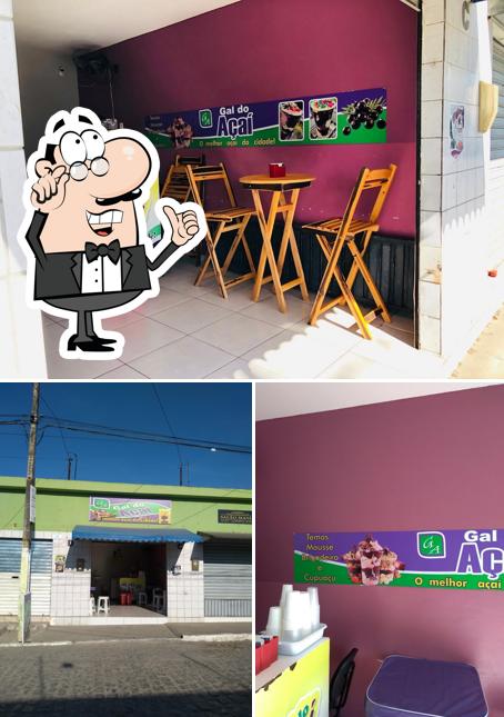 Gal do açaí