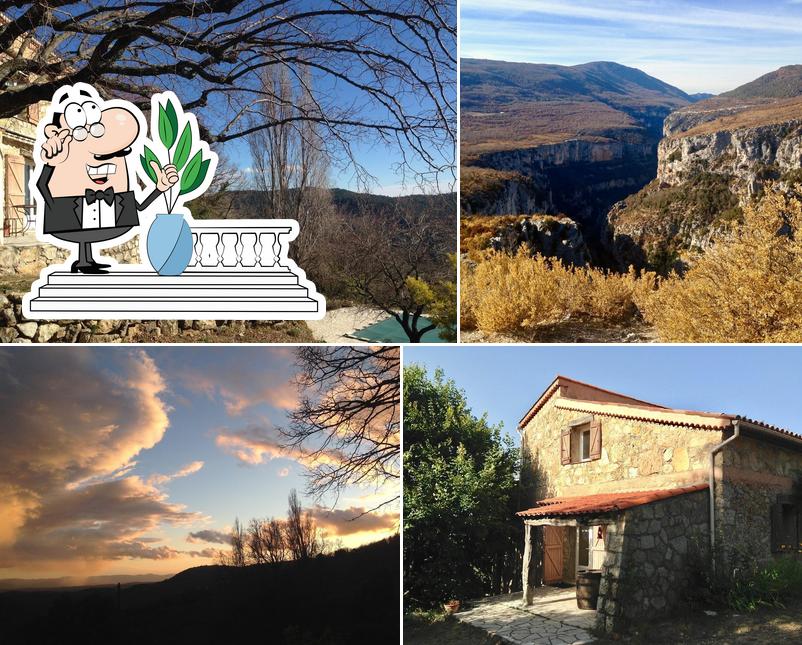 Abriecosy Bio vegan B&B, retreatcenter, detox
